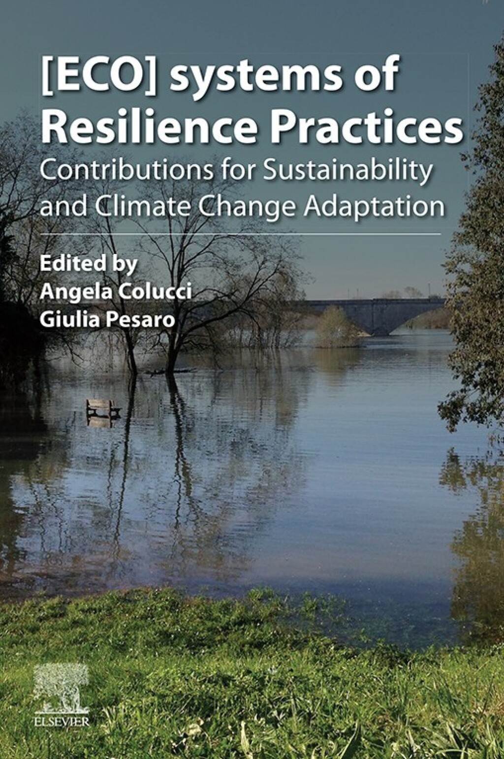 [ECO]systems of Resilience Practices Contributions for Sustainability ...